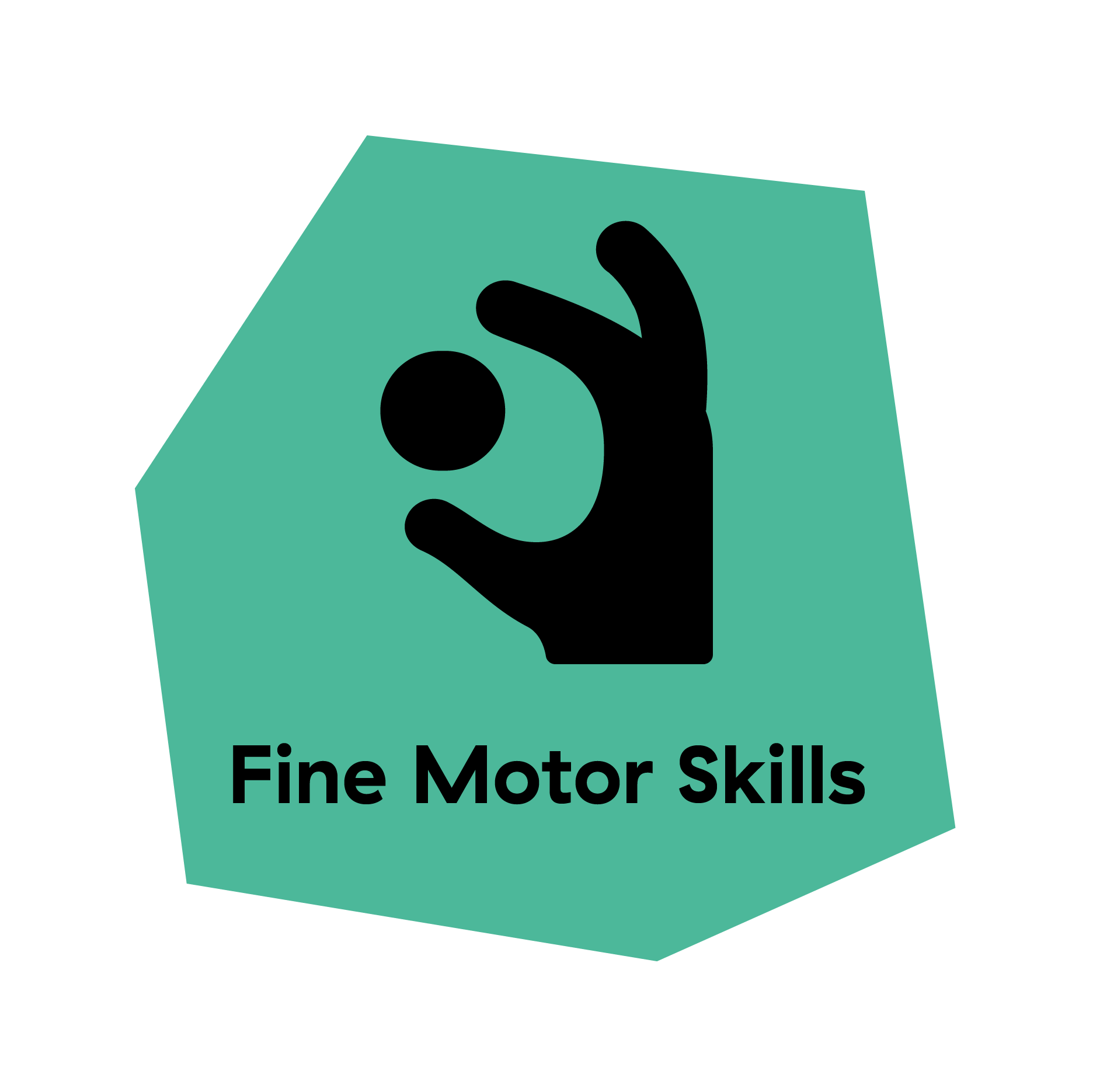 Baby Einstein: Fine Motor Skills