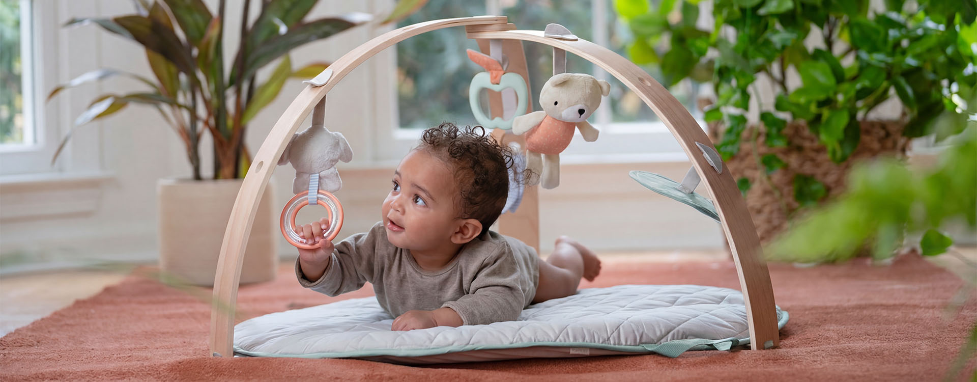 Ingenuity Play Gyms