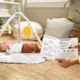 Ingenuity Tummy-to-Toes 6-in-1 Milestone Center, For Ages 0-48 Months