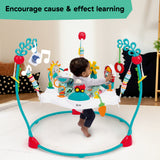 Baby Einstein Farm Explorers Jump & Learn Barnyard 2-in-1 Jumper