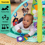 Baby Einstein Farm Explorers 4-in-1 Kickin Tunes Musical Meadow Music & Language Discovery Gym