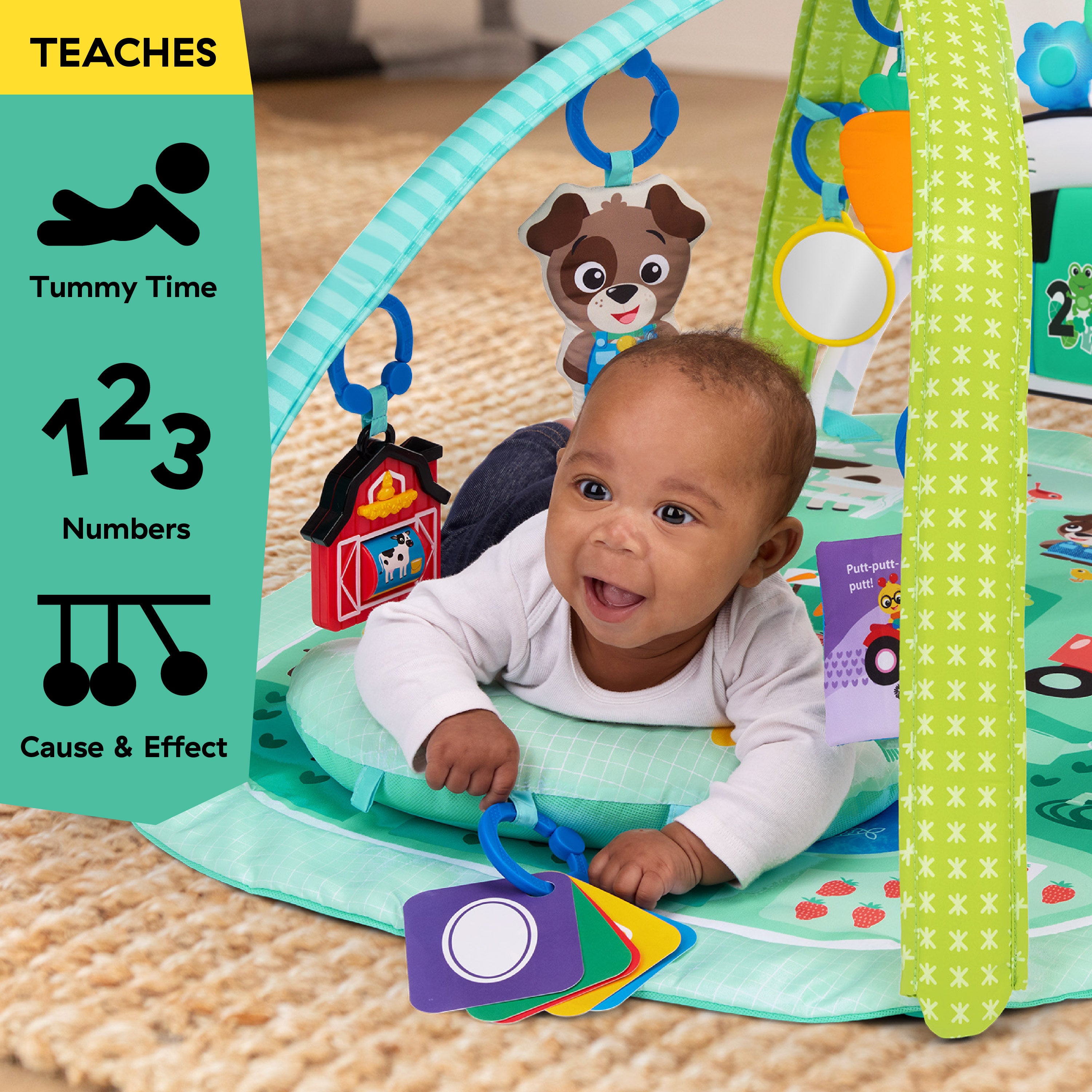 Farm Explorers Baby Einstein Farm Explorers 4-in-1 Kickin Tunes Musical Meadow Music ...