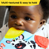 Baby Einstein Zen the Zebra 3-Piece Holiday Gift Set, Ages 3 Months+