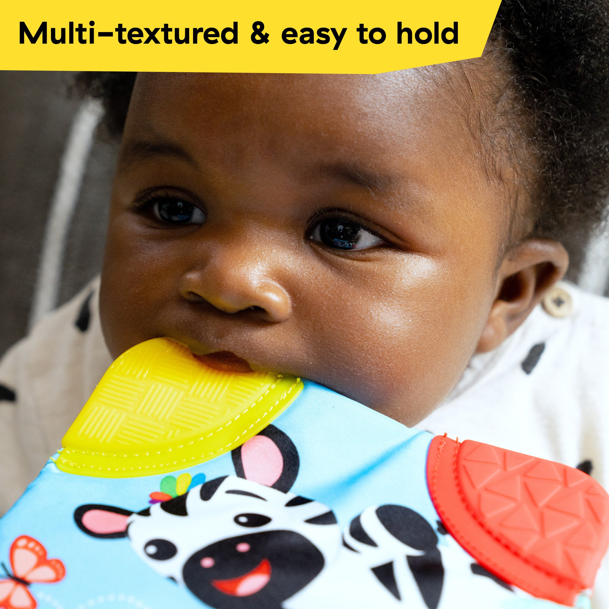 Baby Einstein Zen the Zebra 3-Piece Holiday Gift Set, Ages 3