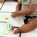 ity by Ingenuity Soft Book, 4 Plush Pages, Crinkle, Toy Attachment, For Ages Newborn and Up - Nate
