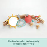 Bright Starts Disney Baby Winnie the Pooh Hunny Hangout Activity Gym