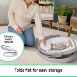 Ingenuity Inlighten Bounce & Sway Swing with Bluetooth & Canopy, 3-in-1 Seat, Ages 0+  Pebble Shore