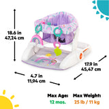 Bright Starts Learn-to-Sit 2-Position Floor Seat - Purple Paradise