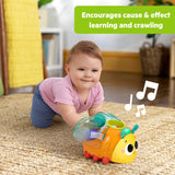 Bright Starts Spin n Chase Bug Ball Popper Toy with Lights & Music, Unisex, 6M+