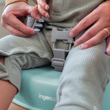 Ingenuity My Spot Easy-Clean Baby Booster Seat Feeding Chair - Teal