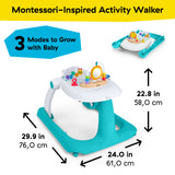 Baby Einstein 3-in-1 Discover More Developmental Activity Walker, Ages 6+ Months