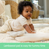 Ingenuity Every Season Swing 'n Go Portable Swing - For Ages 0-9 Months - Wesley