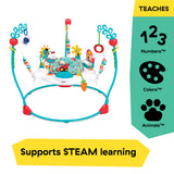 Baby Einstein Farm Explorers Jump & Learn Barnyard 2-in-1 Jumper