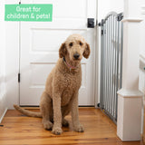 The Thruway 53W Series Pet and Baby Gate, Openings 29.5-53", 38" Tall - Gray