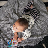 Baby Einstein Ocean Explorers Maritime Melodies Musical Toy, Ages 3+ Months