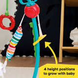 Baby Einstein Farm Explorers Jump & Learn Barnyard 2-in-1 Jumper