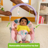 Bright Starts Wildflower Wonders Vibrating Baby Bouncer
