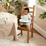 Deluxe Learn-to-Dine-Feeding-Seat