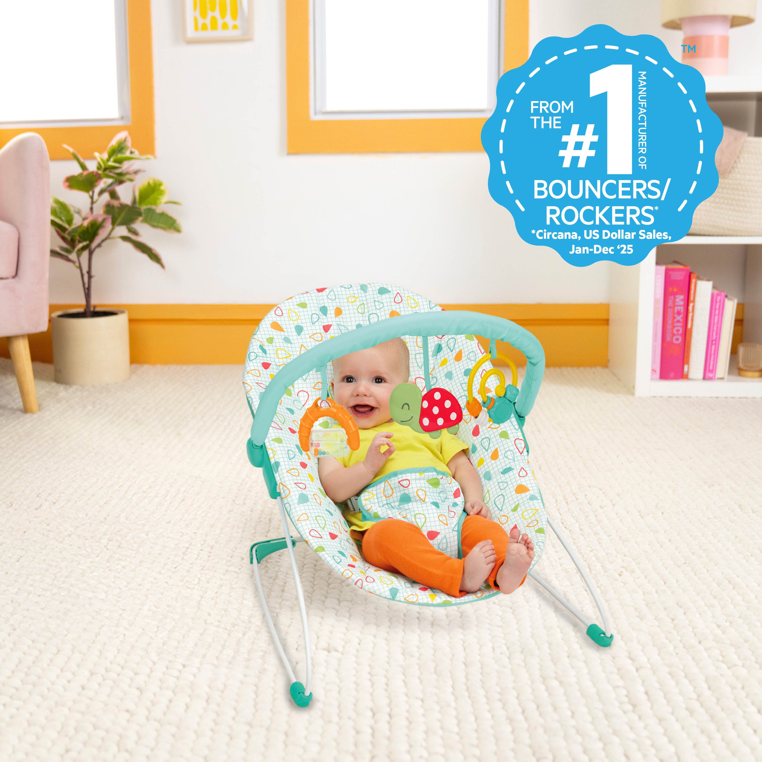 Bright Starts Bouncers & Rockers Kids2, LLC Bright Starts Bouncers & Rockers Kids2, LLC