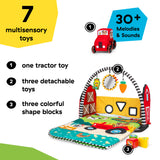 Baby Einstein Farm Explorers Busy Barnyard Grow With Me Activity Gym