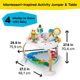 Baby Einstein Discover More 3-in-1 Activity Jumper