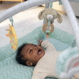 Ingenuity Calm Springs Plush Activity Baby Gym