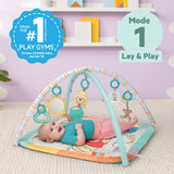 Disney Baby Winnie the Pooh Hundred Acre Adventure Play Gym by Bright Starts, Unisex, Newborn & Up