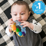 Baby Einstein Teether-pillar Rattle and Chill Teething Toy