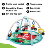 Baby Einstein Farm Explorers Happy Harvest Touch & Feel Activity Gym