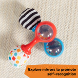 Baby Einstein Shake & Groove Toy Maracas