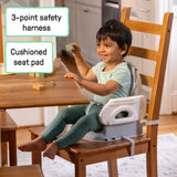 Ingenuity Deluxe Comfort Folding Baby Booster - Grey