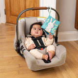 Ingenuity Storytime Sylvi Soft Baby 6 Page Crinkle Book