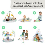 Ingenuity Tummy-to-Toes 6-in-1 Milestone Center, For Ages 0-48 Months
