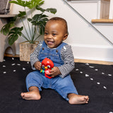 Roxy's Bright Flight Musical Toy