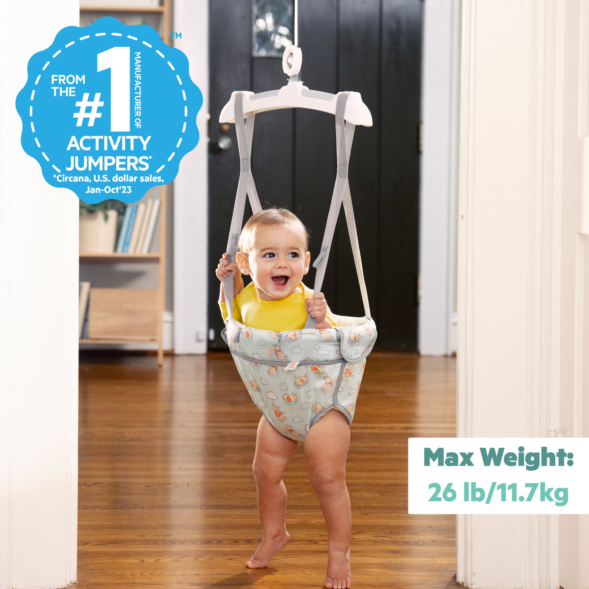 Baby Jumper Swing For 12 Month Old Bright Starts Disney Baby Winnie The Pooh Once Upon A Bounce