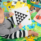 Discovery Garden Tummy Time Mat & Mirror