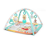 Disney Baby Winnie the Pooh Hundred Acre Adventure Play Gym by Bright Starts, Unisex, Newborn & Up