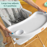 Bright Starts Disney Baby Winnie the Pooh Classic Pals Compact Folding High Chair - Grey