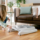 Ingenuity Step & Sprout 3-in-1 Activity Walker - First Forest