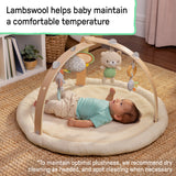 Ingenuity Every Season Plush Lambswool Baby Play Gym - Natural