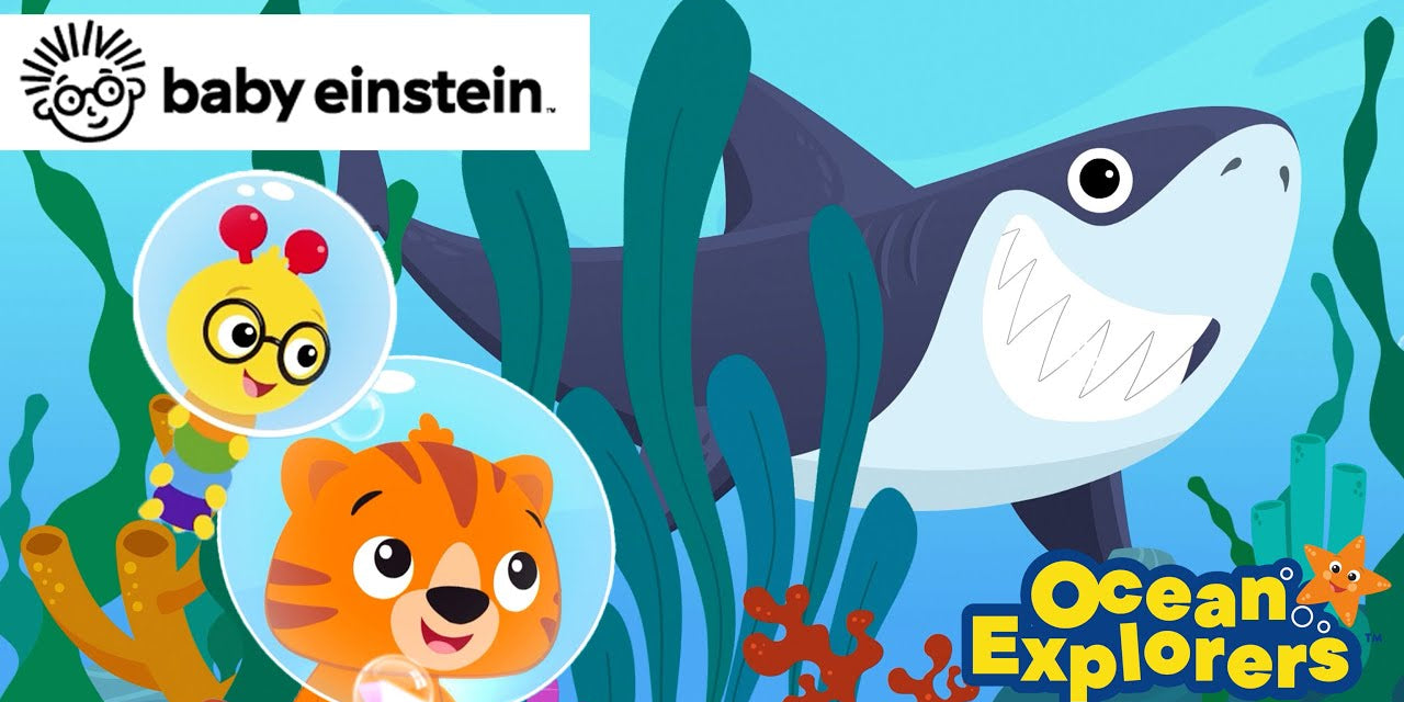 Ocean Explorers