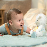 Ingenuity Calm Springs Plush Activity Pal  Sheppy