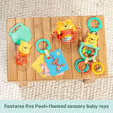 Disney Baby Winnie the Pooh Silly Ole Bundle Gift Set by Bright Starts