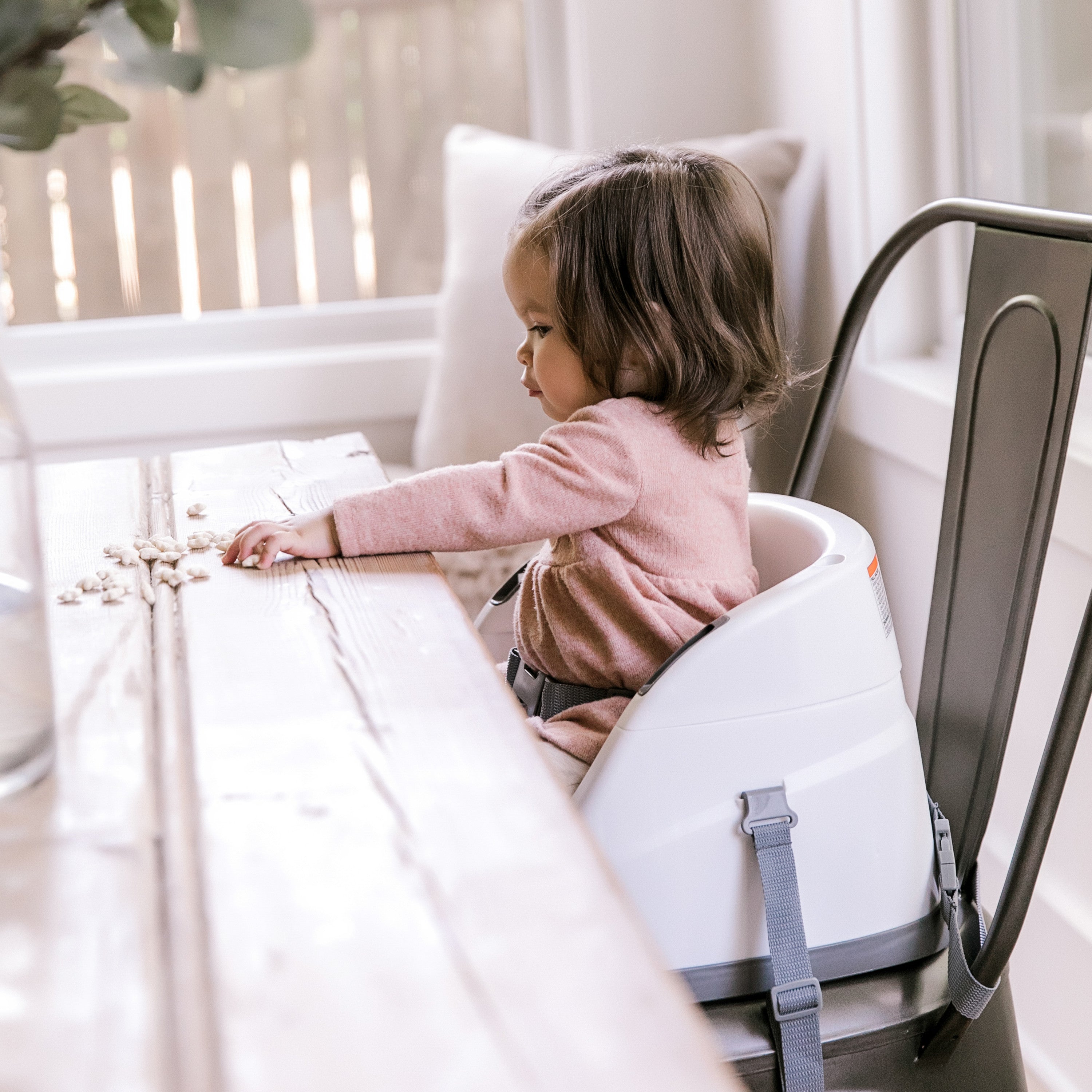 Ingenuity Baby Base 2-in-1 Booster Feeding and Floor Seat with Self-Storing  Tray - Peony