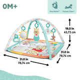 Disney Baby Winnie the Pooh Hundred Acre Adventure Play Gym by Bright Starts, Unisex, Newborn & Up