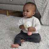 Ingenuity Premium Soft Plush Handheld Rattle, Nate the Teddy Bear