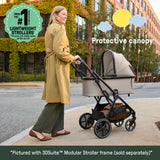 Ingenuity 3DSuite DualDock Carry Cot  Portable Baby Bassinet for Overnight Sleep (with Stand Only) & Stroller Carry Cot - Khaki