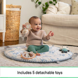 Ingenuity Cozy Spot Duvet Activity Gym with Self-Storage - Elephant March