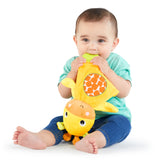 Bright Starts Snuggle & Teethe Plush Teether Toy, Assortment
