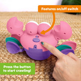 Bright Starts Rockin Crawling Crab Interactive Baby Toy with Music & Dancing, Pink